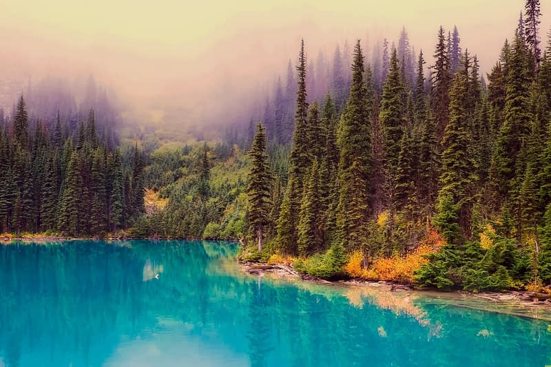lac bleu et grands arbres - nature sauvage du Canada