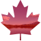 feuille d'érable rouge et nature du Canada